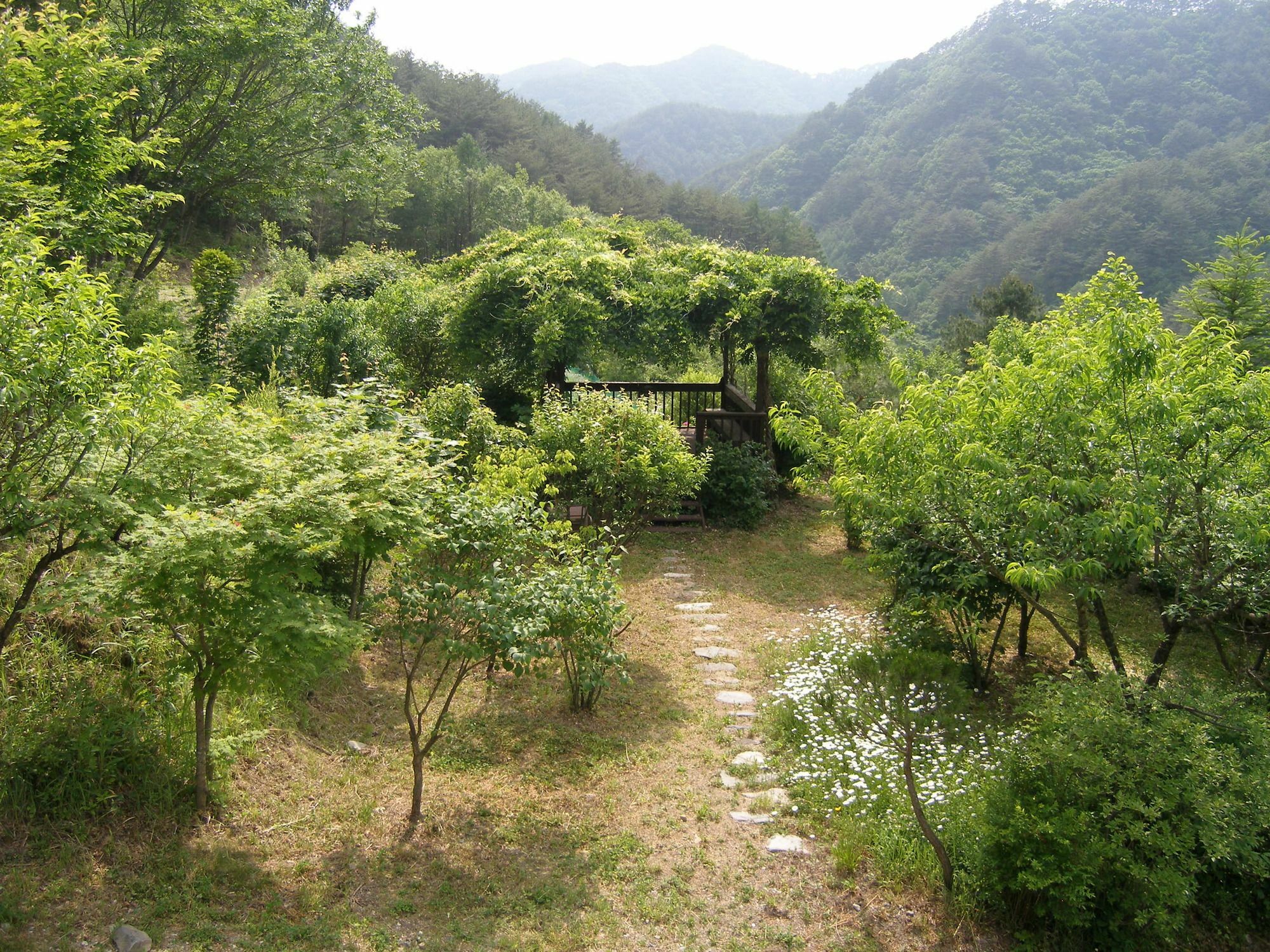 Fairy Tale Pension Pyeongchang Extérieur photo